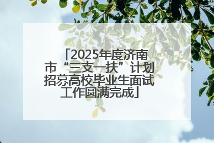 2025年度济南市“三支一扶”计划招募高校毕业生面试工作圆满完成